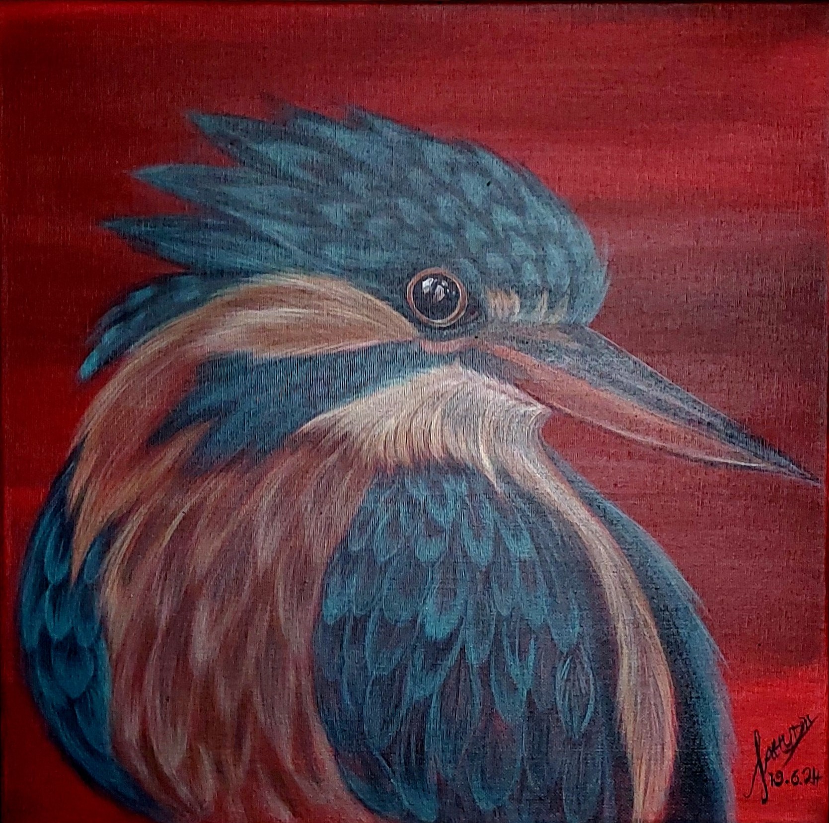 Ijsvogel 19.06.2024 40x40cm 