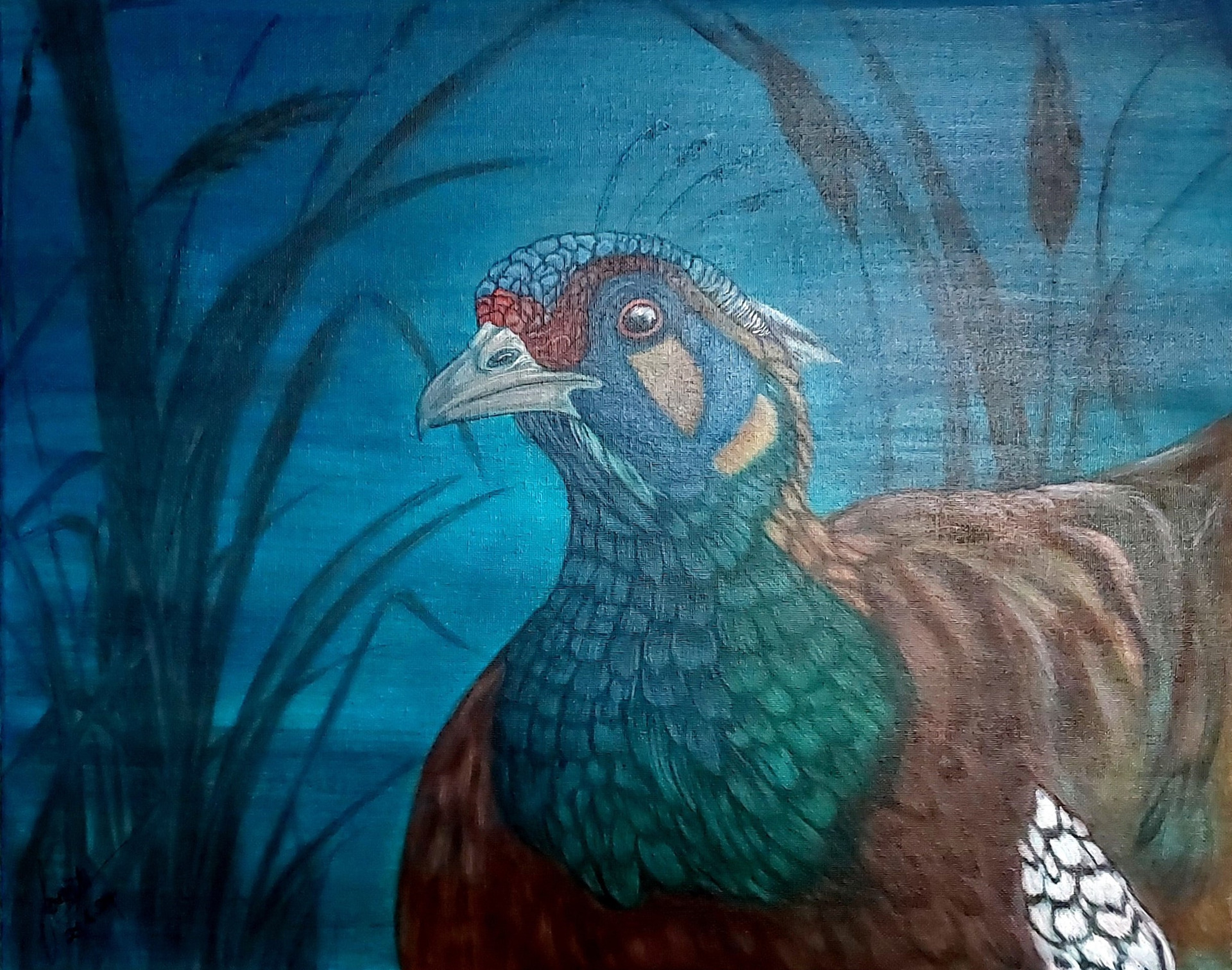 Fazant 27.06.2024 40x50cm (TE KOOP €130,00) 