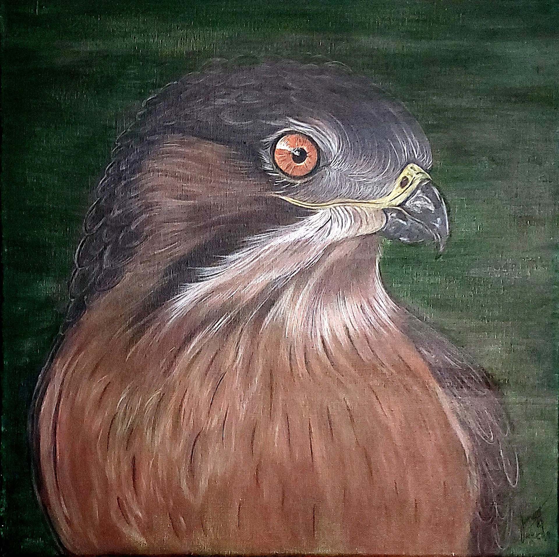 Valk 24.6.2024 40x40cm (TE KOOP € 125,00)