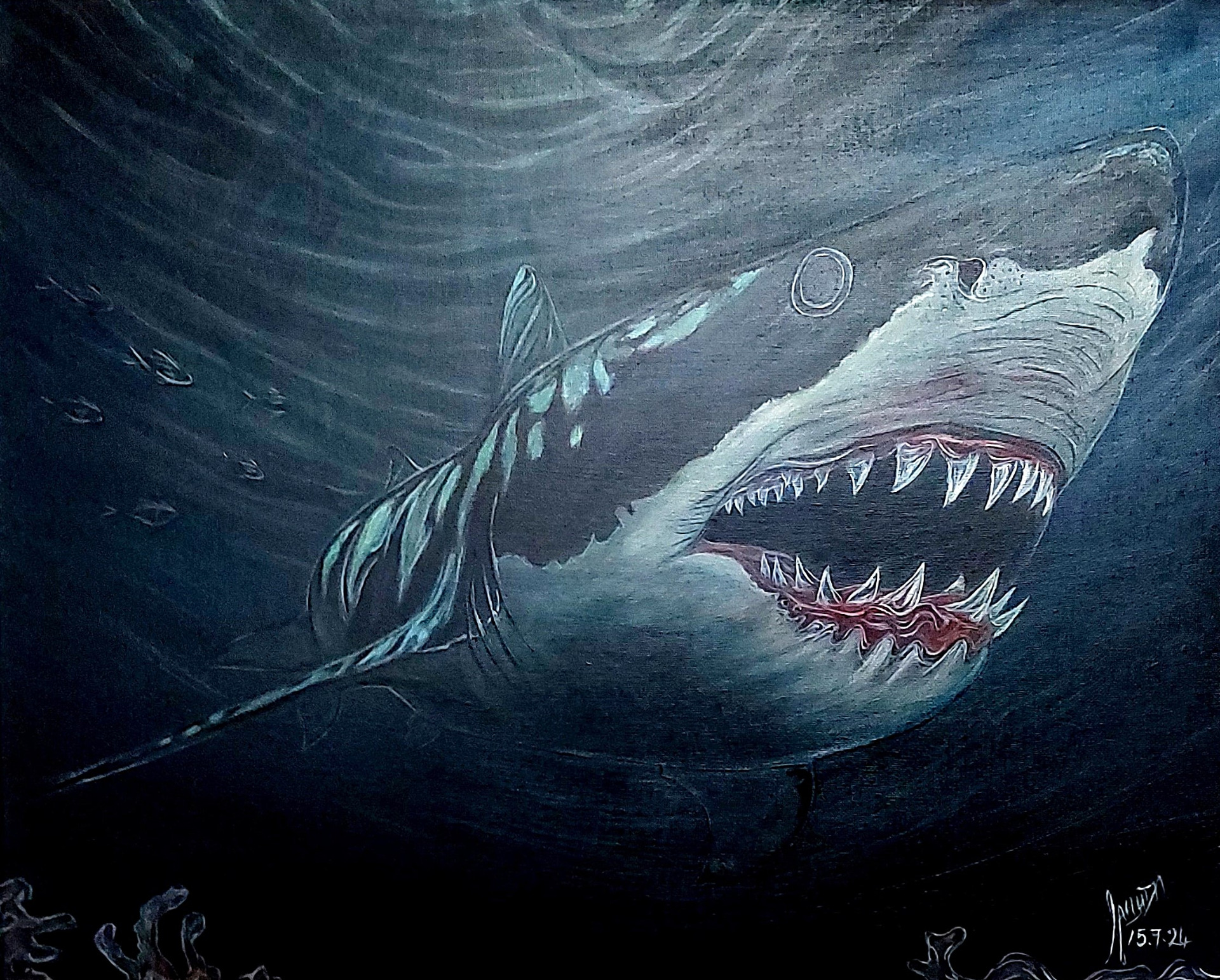 Witte Haai 15.07.2024 40x50cm (TE KOOP €130,00) 
