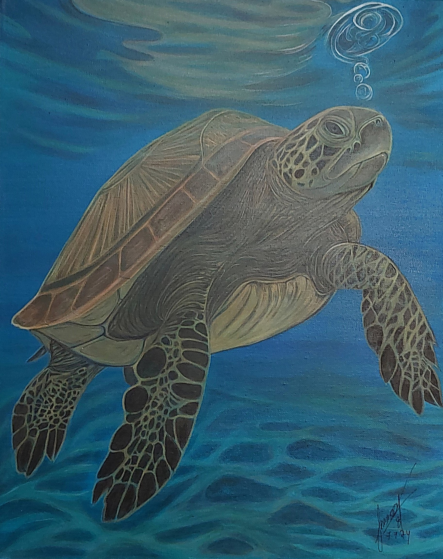 Zeeschildpad 07.07.2024 40x50cm (TE KOOP €130,00) 