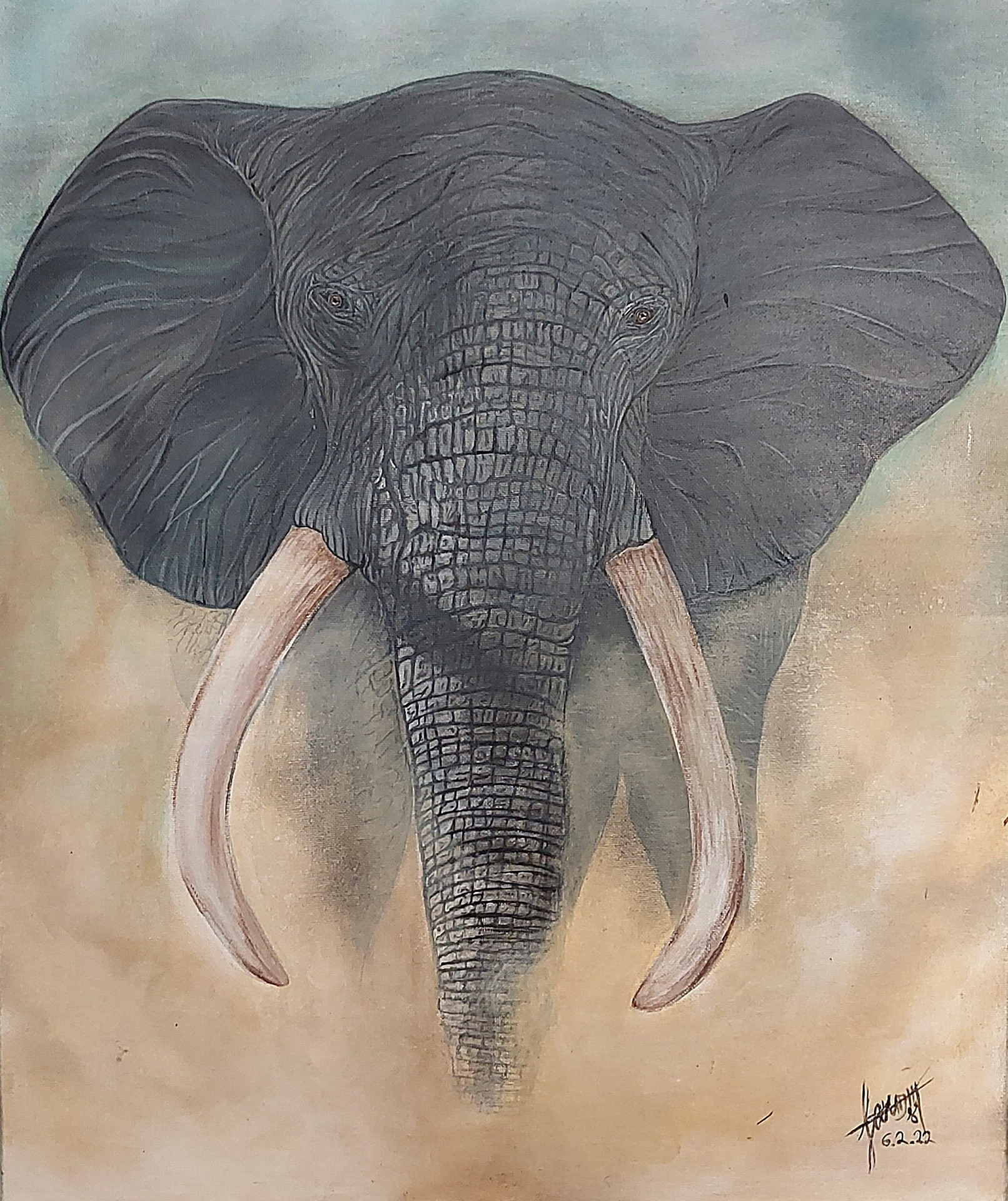 Olifant 06.02.2022 50x60cm (TE KOOP €175,00) 